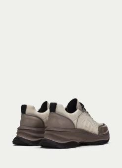 Sneakers Alaska Taupe Ivory